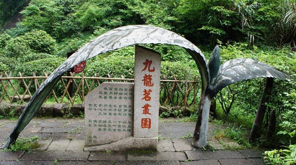 7-day Fujian Xiamen Tulou Mt Wuyi Anxi Tour